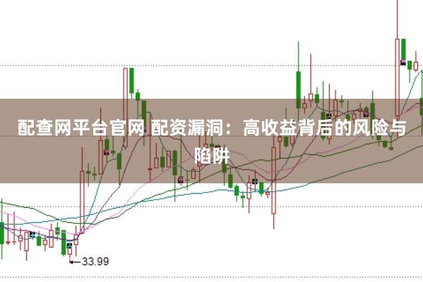 配查网平台官网 配资漏洞：高收益背后的风险与陷阱