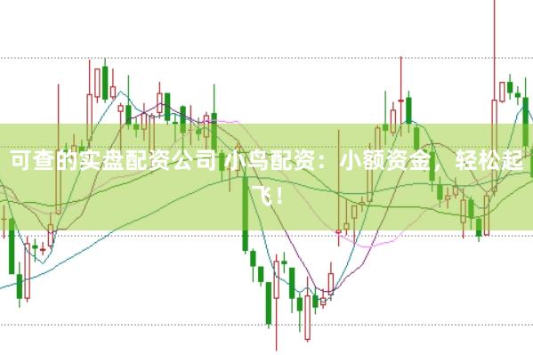 可查的实盘配资公司 小鸟配资：小额资金，轻松起飞！