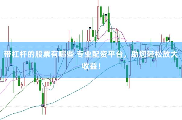 带杠杆的股票有哪些 专业配资平台，助您轻松放大收益！