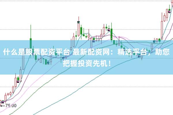 什么是股票配资平台 最新配资网：精选平台，助您把握投资先机！