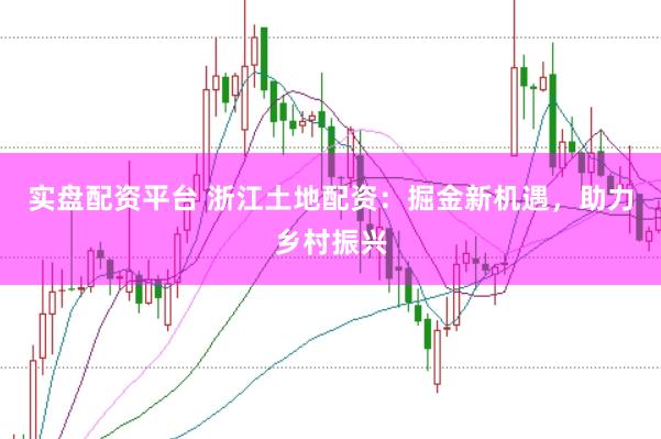 实盘配资平台 浙江土地配资：掘金新机遇，助力乡村振兴