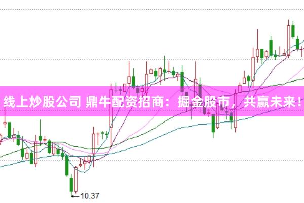 线上炒股公司 鼎牛配资招商：掘金股市，共赢未来！