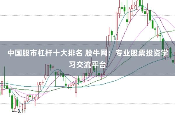中国股市杠杆十大排名 股牛网：专业股票投资学习交流平台