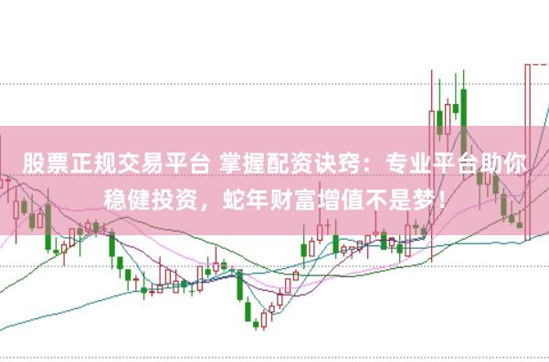 股票正规交易平台 掌握配资诀窍:专业平台助你稳健投资,蛇年财富增值不是梦!