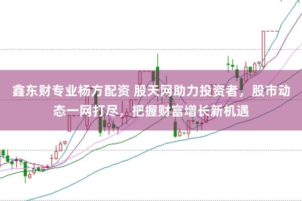 鑫东财专业杨方配资 股天网助力投资者,股市动态一网打尽,把握财富增长新机遇