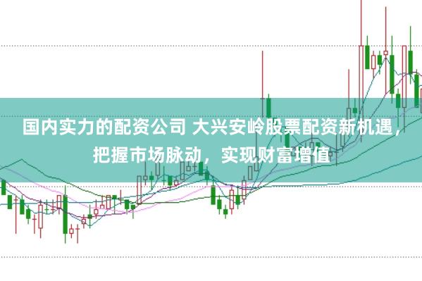 国内实力的配资公司 大兴安岭股票配资新机遇，把握市场脉动，实现财富增值
